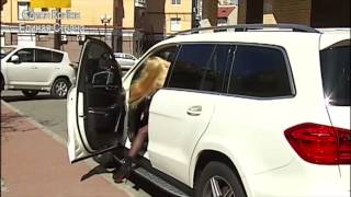 Аваков подрезал 'королеву' красоты