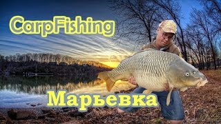 Ловля Карпа с А. Фадеевым.(Карпфишинг на Марьевке)