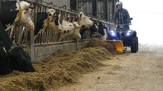 Les différentes activités d'un Quad Agricole / Nouveau Yamaha Kodiak 450