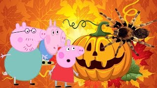 Свинка Пеппа ХЭЛЛОУИН Паук напал на тыкву Peppa Pig Helloween Spider attacked pumpkin