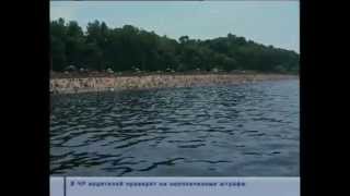 "Дикие" пляжи губят людей