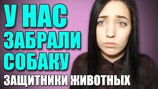 ЗАЩИТНИКИ ЖИВОТНЫХ ИСПОРТИЛИ НАМ ЖИЗНЬ! ЗАБРАЛИ СОБАКУ ИЗ ПРИЮТА. СТРАШНЫЕ ИСТОРИИ OLYA GRACE