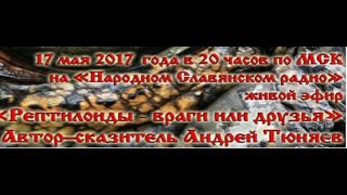 Часть 1. Эфир с Андреем Тюняевым, доклад "Рептилоиды - враги или друзья?