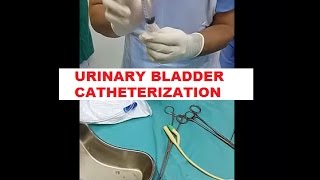 URINARY BLADDER CATHETERIZATION (FEMALE)