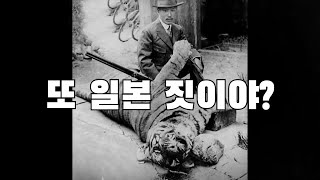한국 호랑이는 정말 멸종되었을까? / YTN 사이언스