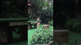 英語と中国語で数を数える鳥
