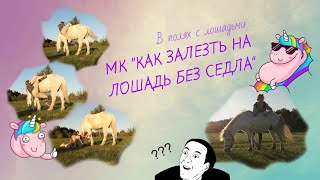 В ПОЛЯХ С ЛОШАДЬМИ \\ МК "КАК ЗАЛЕЗТЬ НА ЛОШАДЬ БЕЗ СЕДЛА"