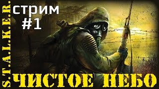 С.Т.А.Л.К.Е.Р.: Чистое Небо - Еще один выживший