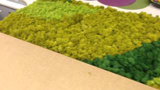 Как упакованы панели из стабилизированного мха производства Specialgreen.ru
