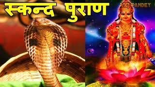 नागपंचमी पूजा | Nag Panchami Puja Vidhi in Hindi | Naga Panchami 2019 | नाग पूजन by Pt Vinod Pandey