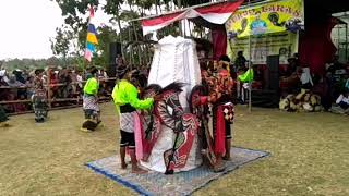 Penari dimasukkan kurungan, begitu dibuka sudah setengah telanjang dan tangan dalam keadaan terikat.
