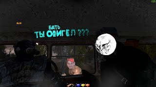 Баги,Приколы,Фейлы S.T.A.L.K.E.R  ФОТОГРАФ