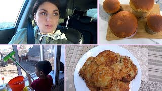 VLOG :Куличи (для Я ТОРТодел)/Стираю плед "Шиншилла" /Драники. Про бабушек /Мама Вика