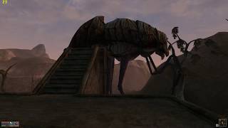 TES III Morrowind * №27. Путь паломника. Обращение к истине * Прохождение