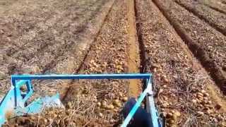 harvest potatoes πατατοεξαγωγεας δισειρος (potato extractror double)  IOANNIDIS IOANNIS