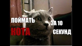 КАК ПОЙМАТЬ КОТА