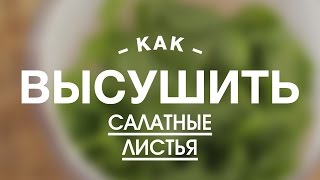 Как Правильно Высушить Салатные Листья || FOOD TV Учимся Готовить