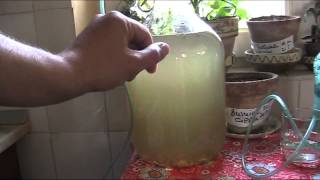 Birch Sap Products/ Produse Din Seva De Mesteacan