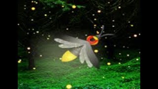 Fireflies Night Forest Escape Video Walkthrough