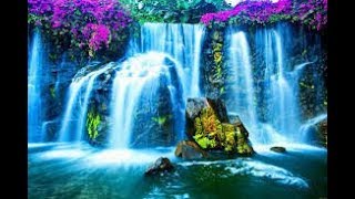 Very beautiful video./Самый красивый клип в мире!
