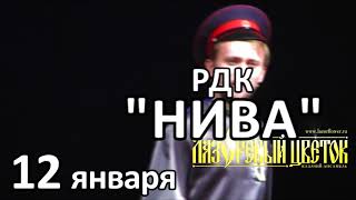 Ансамбль казачьей песни "Лазоревый цветок" станица Крыловская