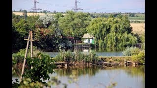 Рыбалка в Мирном. Лето. Отдых. Красота. Карп. Карась. Рыбалка в Одесской области. Водоём. Червь. БАМ