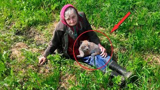 Замерзнет ведь ,сирота, причитала старушка, прижимая маленького рысенка. Я тебя согрею.