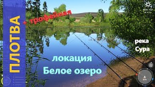 Русская рыбалка 4 - Река Сура - Трофейная плотва на озере