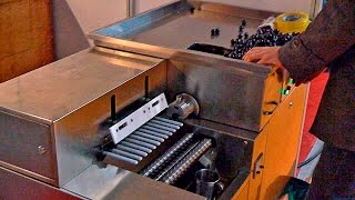 ?Бойлы демонстрация оборудования по производству бойлов для рыбной ловли Minipress.ru