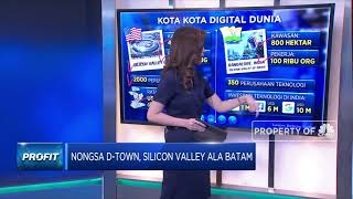 Nongsa D-Town, Silicon Valey Ala Batam