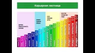 Бонусный план компании "Родник здоровья"