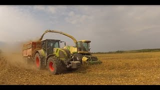 Koszenie kukurydzy i zbiór słomy 2015 HD