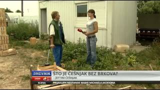 Slavonski domaći češnjak - OPG Kurcinak