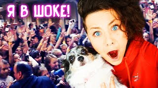 АТАКОВАЛА ТОЛПА ПОДПИСЧИКОВ НА ФЕСТИВАЛЕ ЖИВОТНЫХ PETSHOP DAYS!