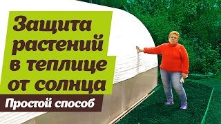 Как защитить растения в теплицах в жару