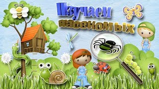 ЗМЕЯ на дороге! СТРАШНО Интересно! НАСЕКОМЫЕ для детей. ВНИМАНИЕ! Жуки, Пауки, Слизни, Улитки, Пчелы