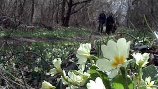 Поход из села Резервное в Балаклаву