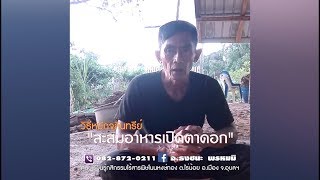 วิธีทำจุลินทรีย์"สะสมอาหารเปิดตาดอก" โดย อ.ธงชนะ พรหมมิ