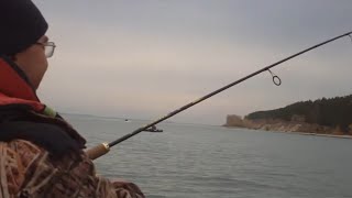 Поймали ? крупного сазана 12 кг ? на спиннинг | Рыбалка в Спирино | 2010 г ?