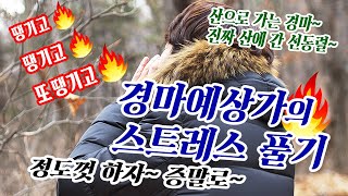 경마예상가의 스트레스 / 경마가 산으로 가서 선동렬도 산으로 갔다 / 스트레스돌파 / 선동렬의 스트레스 푸는법