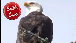 Texada Island - Gillies Bay The Video