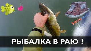 За окунем на Аландские острова. Окунь, Щука и Судак - Осенью 2017 г.