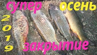 ПОДВОДНАЯ ОХОТА НА САЗАНА. ЩУКУ. КАРАСЯ.ОСЕННЕЕ ЗАКРЫТИЕ СЕЗОНА 2019г. В САРАТОВСКОЙ ОБЛАСТИ.