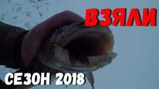 ЧУДСКОЕ ОЗЕРО!ЛОВЛЯ НАЛИМА!ЗИМНЯЯ РЫБАЛКА В ПСКОВСКОЙ ОБЛАСТИ