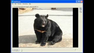StereoMorpher Plus. Рисование внутренних контуров