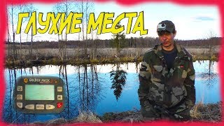 Поиск монет в глухих местах с Golden mask 5+