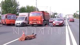 Невнимательность пешехода плюс невнимательность водителя стали причиной трагедии