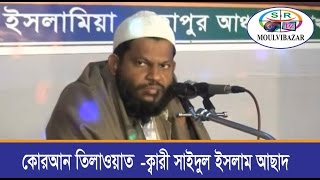 Quraan Tilawat   Kari Saidul Islam Asad