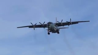 ан 12