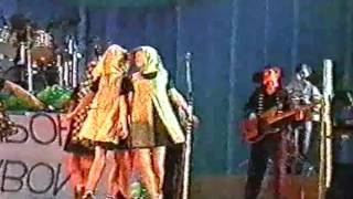 "Трава моя, травушка" - ВИА Аленушка